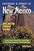 Backroads & Byways of New Mexico by Sally Moore