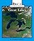 Great Lakes (Rookie Read-About Geography)