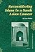 Reconsidering Islam in a South Asian Context (25) by M. Reza Pirbhai