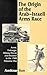 The Origin of the Arab-Israeli Arms Race: Arms, Embargo, Military Power and Decision in the 1948 Palestine War