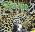I am a Jaguar