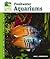 Freshwater Aquariums