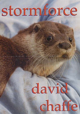 Stormforce, an Otter's Tale (Paperback)