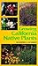 Growing California Native P...