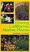 Growing California Native Plants