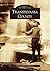 Transylvania County (Images of America: North Carolina)