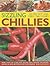 Sizzling Chilies