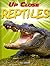 Reptiles (Up Close)