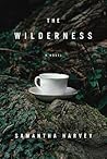 The Wilderness