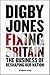 Fixing Britain: The Business of Reshaping Our Nation