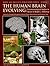 The Human Brain Evolving: Paleoneurological Studies in Honor of Ralph L. Holloway (Stone Age Institute Publication)