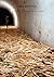Tania Bruguera: On the Poli...