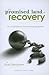 Promised Land of Recovery: An Lds Guide to Overcoming Addiction
