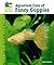 Aquarium Care of Fancy Guppies by Stan Shubel