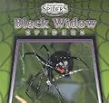 Black Widow Spiders