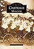 Carthage (Images of America: Missouri)