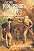 The Journey of Life by Thomas R. Cole