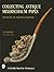 Collecting Antique Meerschaum Pipes by Benjamin Rapaport