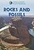 Rocks and Fossils (Gareth Stevens Vital Science: Earth Science)