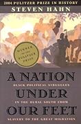 A Nation Under Our Feet: Black Political Struggles in the Rural South from Slavery to the Great Migration 