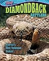Diamondback Rattlers: America's Most Venomous Snakes! (Fangs) Diamondback Rattlers: America's Most Venomous Snakes! (Fangs)