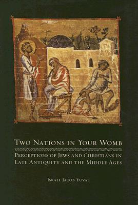 Two Nations in Your Womb : Perceptions of Jews and Christians in Late Antiquity and the Middle Ages (Hardcover)