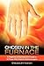 Chosen in the Furnace: A Testimony of Survival and a Guide to All Those Who Desire to Be Encouragers