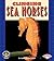 Clinging Sea Horses by Judith Jango-Cohen