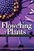 Flowering Plants: A Pictorial Guide to the World's Flora