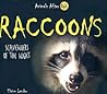 Raccoons: Scavengers of the Night (Animals After Dark) Raccoons: Scavengers of the Night (Animals After Dark)