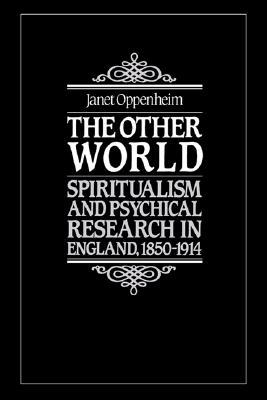 The Other World (Paperback)