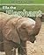 Ella the Elephant