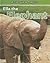 Ella the Elephant by Jan Latta