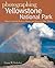Photographing Yellowstone National Park by Gustav W. Verderber