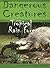 Dangerous Creatures Of The ...