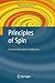 Principles of the Spin Model Checker