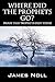 Where Did The Prophets Go?:...
