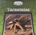 Tarantulas