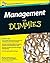 Management For Dummies