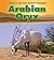 Arabian Oryx (Heinemann Read and Learn: A Day in the Life: Desert Animals)
