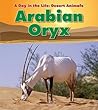 Arabian Oryx (Heinemann Read and Learn: A Day in the Life: Desert Animals)