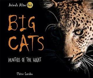 Big Cats: Hunters of the Night (Animals After Dark)