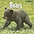 Bears (Baby Animals)
