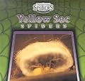 Yellow Sac Spiders