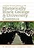 Creating Personal Success on the Historically Black College a... by W. Weldon Hill