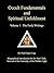 Occult Fundamentals and Spi...