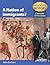 Nation of Immigrants? (Hodder History Concepts & Processes)