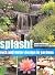 Splash!: Rock And Water Des...