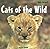 Cats of the Wild
