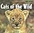 Cats of the Wild by Alice Twine